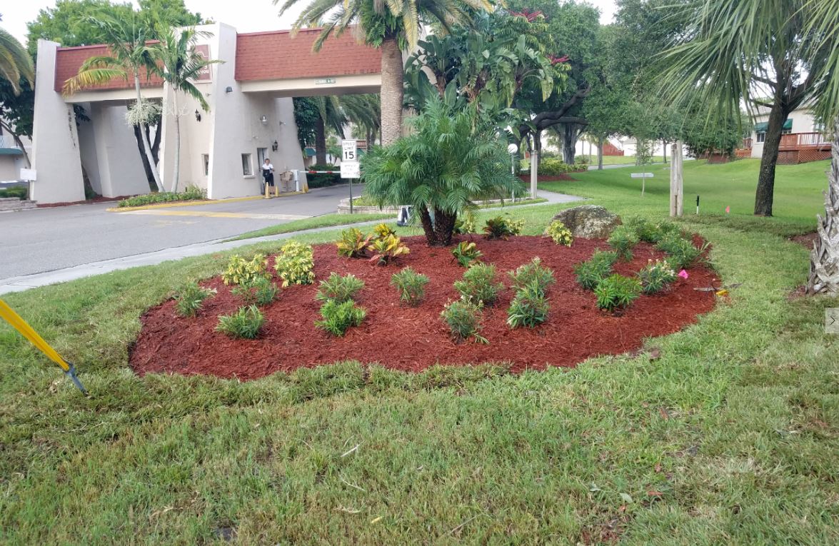 Commercial Lawn Service